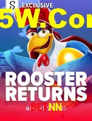 Player Reviews BetNN